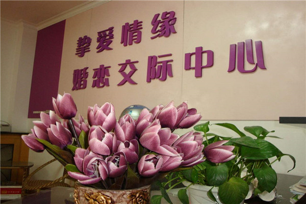 总成婚介所效劳哪家靠谱讲讲选购要点帮你找到幻想的婚介所,-怎么赚钱